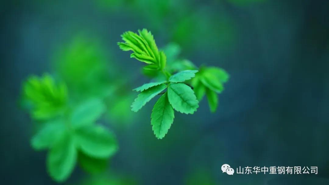 山東華中重鋼有限公司